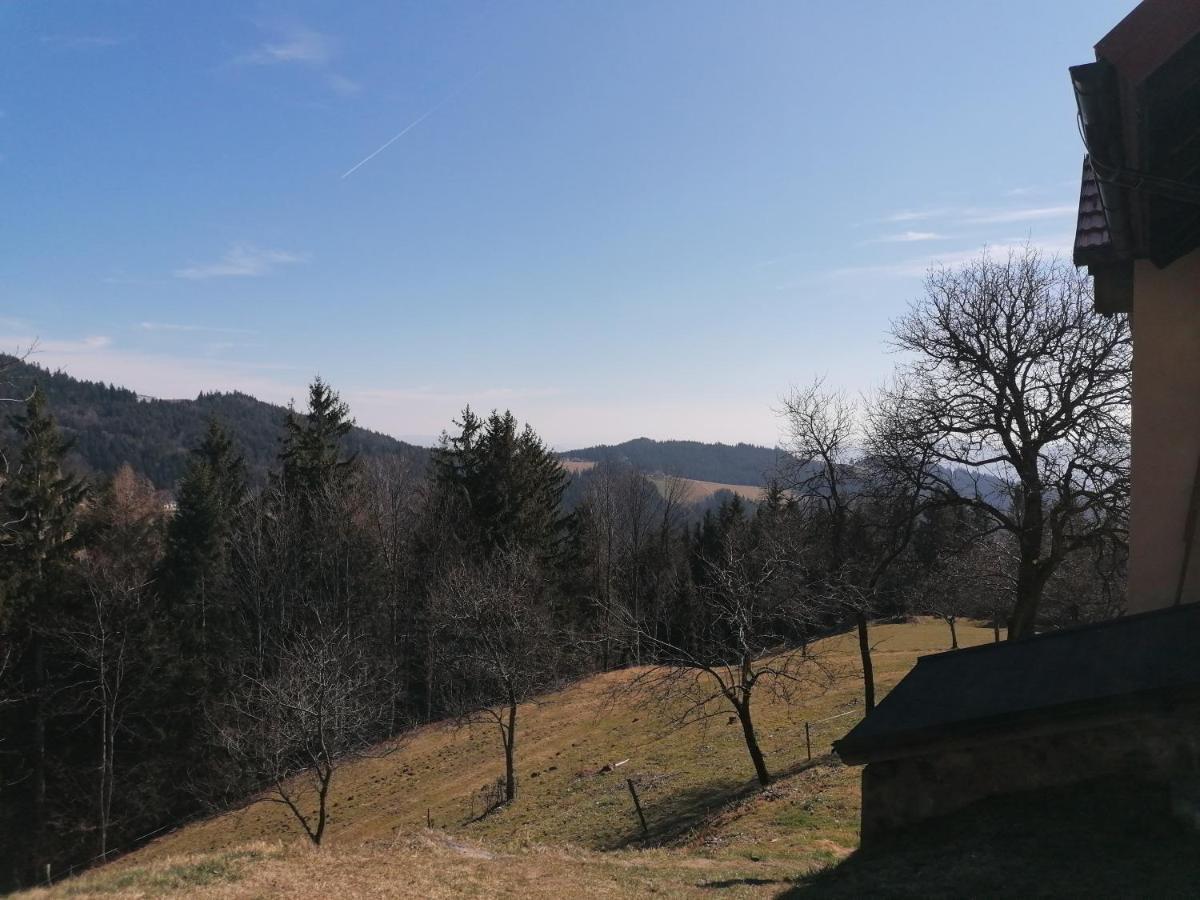 Apartment House Koprivnik Zreče エクステリア 写真