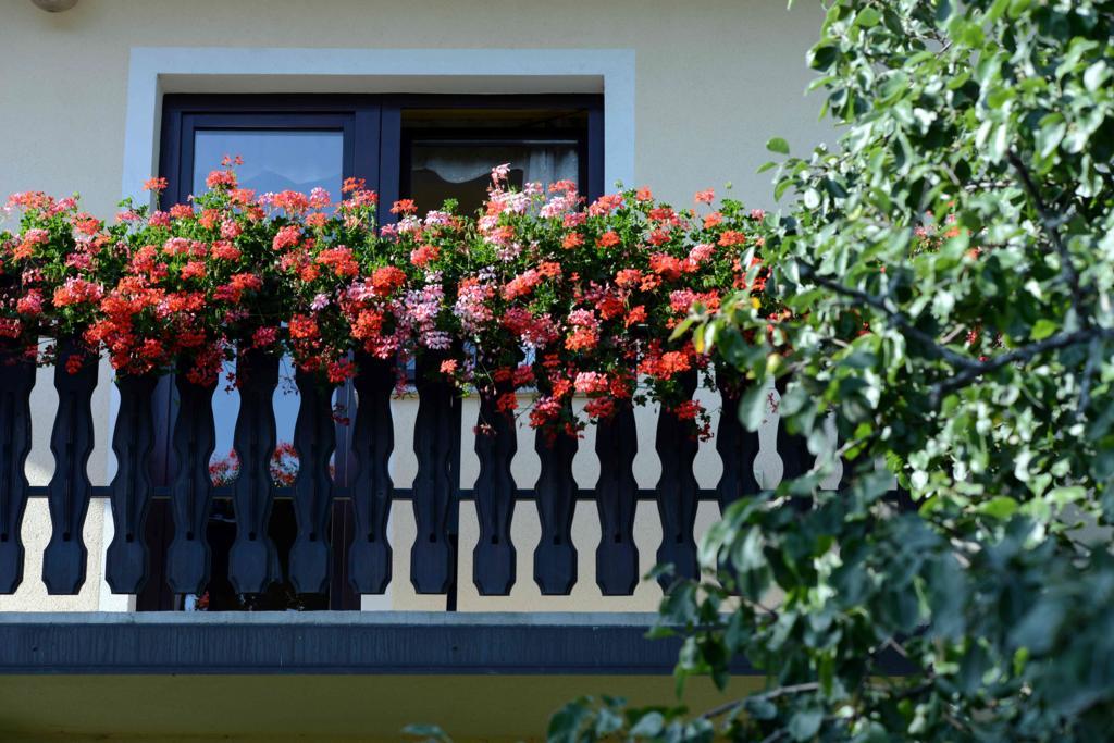 Apartment House Koprivnik Zreče エクステリア 写真