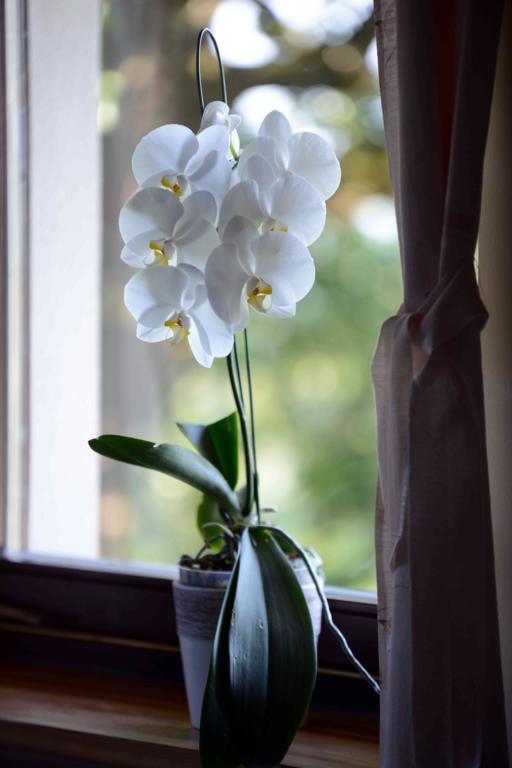 Apartment House Koprivnik Zreče エクステリア 写真